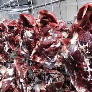 国产清真纯干鲜牛腿肉厂家直销需要的老板联系