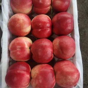 中油20是当地的桃子品种，颜色好看，味道很甜，建议广大农...