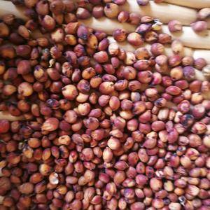 糯粘红高梁，2020年新红高粮，一年一季种植，粒粒饱满，酿酒佳品。量大议价，价格更优惠。