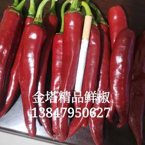 内蒙开鲁鲜椒大量上市
出售北京红干椒65吨
鲜椒大量...