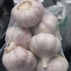 金乡大蒜，价格便宜，代加工各种包装并代发全国市场