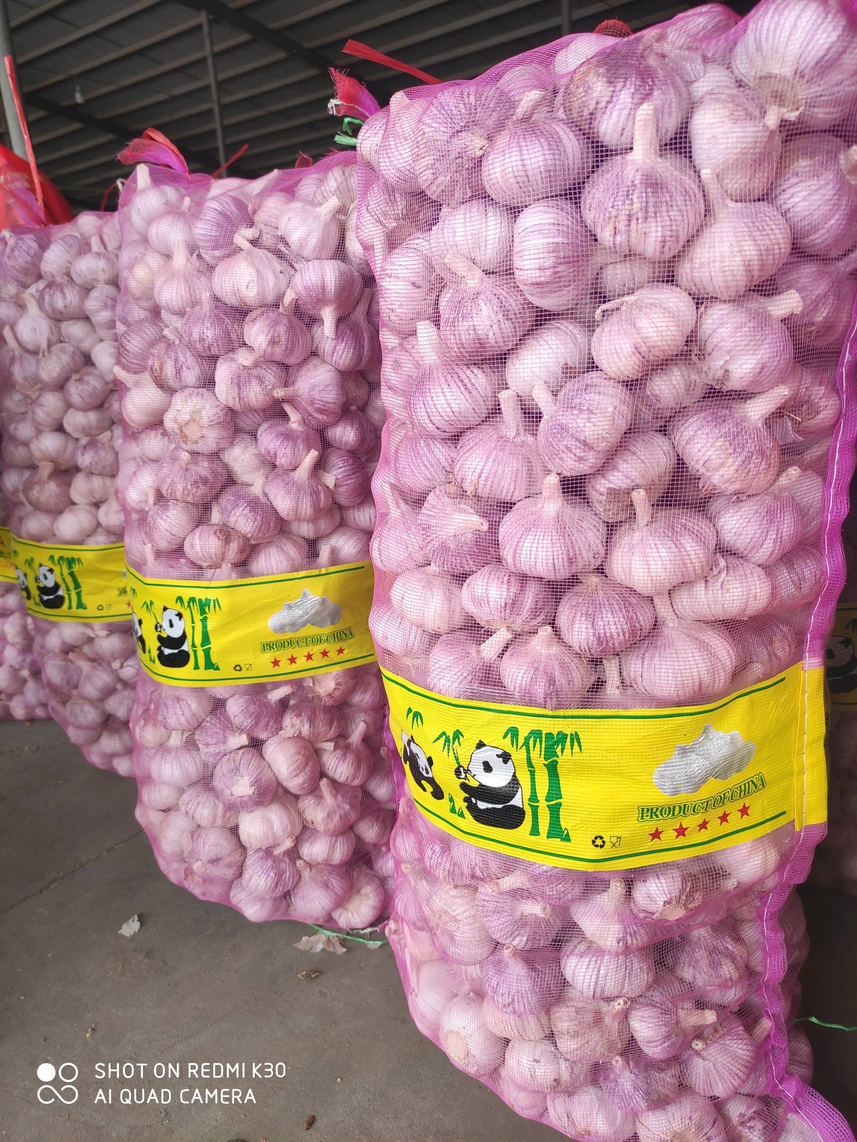 金乡紫红皮大蒜，质量好，价格便宜，可加工各种包装，可供发市场，店商，加工出口，诚信经营，保质保量。15964149056