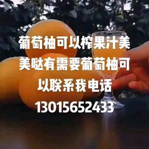 台湾葡萄柚 13015652433