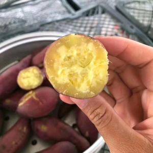 山东优质红薯基地18053993441板栗薯，济薯二六大量上市了一手货源，价格便宜，支持全国发货
