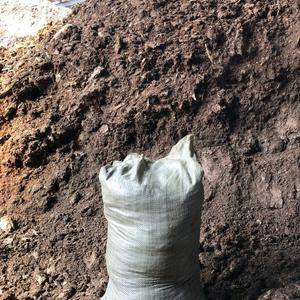 纯羊粪 羊粪有机肥 发酵羊粪 改良土壤增加肥力 绿色环保有需要的联系我，基地直供 13815714555
