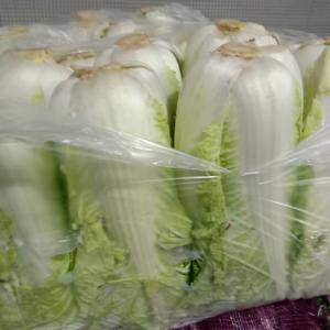 河北省新乐蔬菜白菜批发市场欢迎你光临