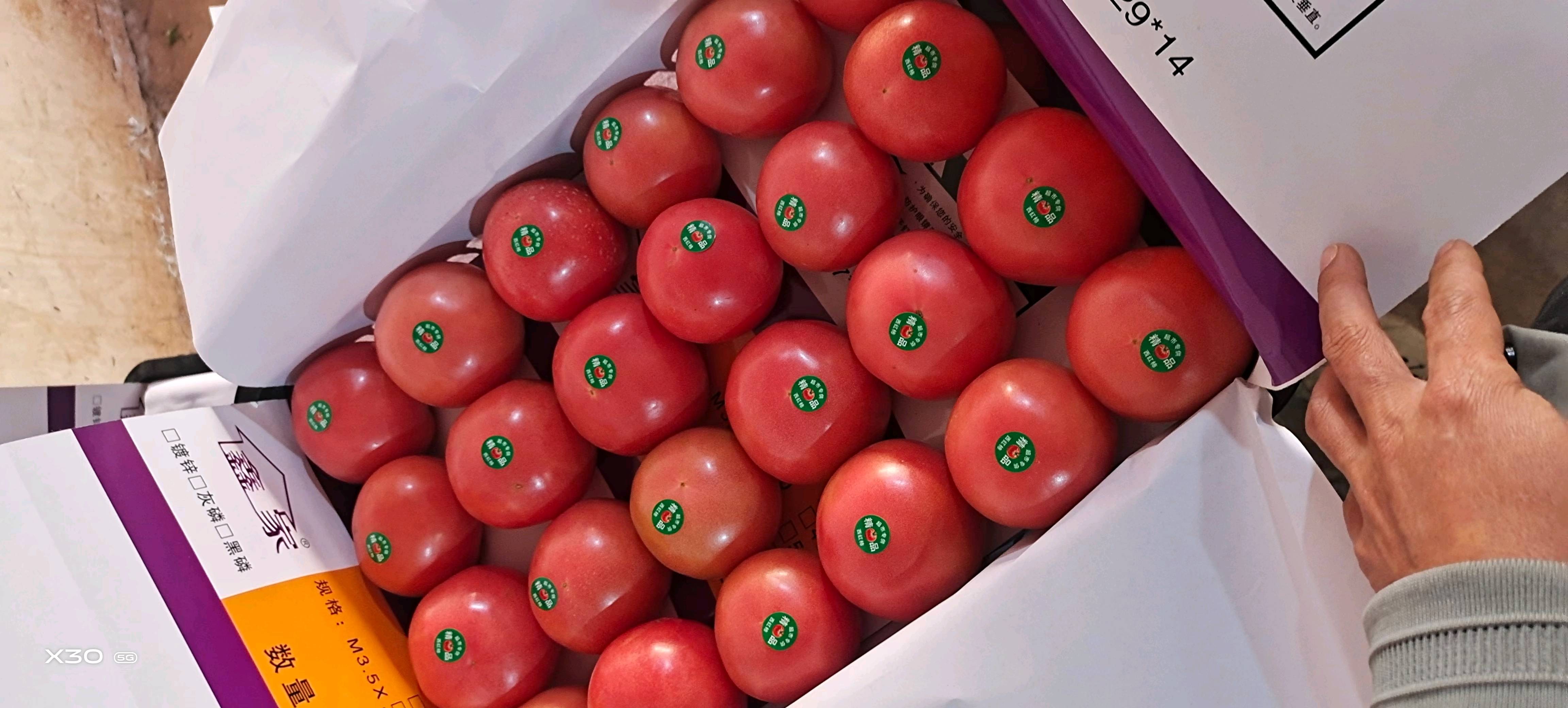 大量供应西红柿有需要的老板抓紧了还在持续涨价