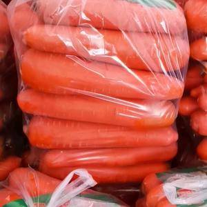 精品红萝卜，刚刚上市，保质保量大量有货。