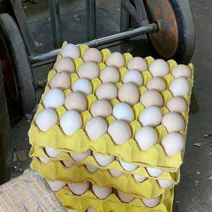 长期供应粉壳饲料蛋，36～45箱装360枚，订货量500箱起