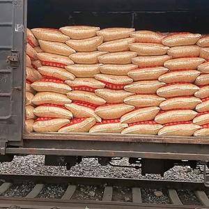 东北吉林黄玉米粒批发全国 符合国储标准的二等玉米 容重7...