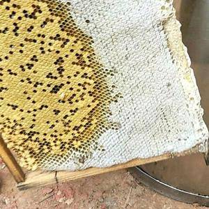 来自广西梧州纯天然蜂蜜