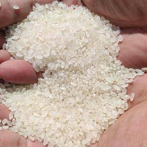 东北寒地珍珠米4000元一吨，14%