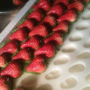 优质久久草莓，以质定价，以货定价