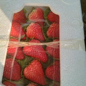 优质久久草莓，以质定价，以货定价
