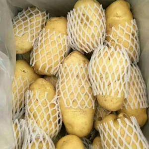 荷兰十五土豆联系电话☎️18053993441大量供应黄皮黄心，质量可靠，货源充足