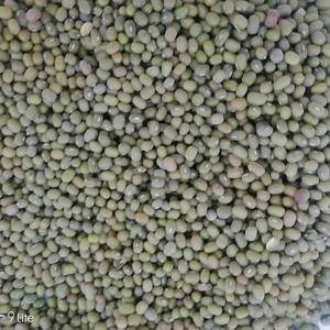 绿豆， 芽豆  3.0-4.0
袋装， 发芽率98%