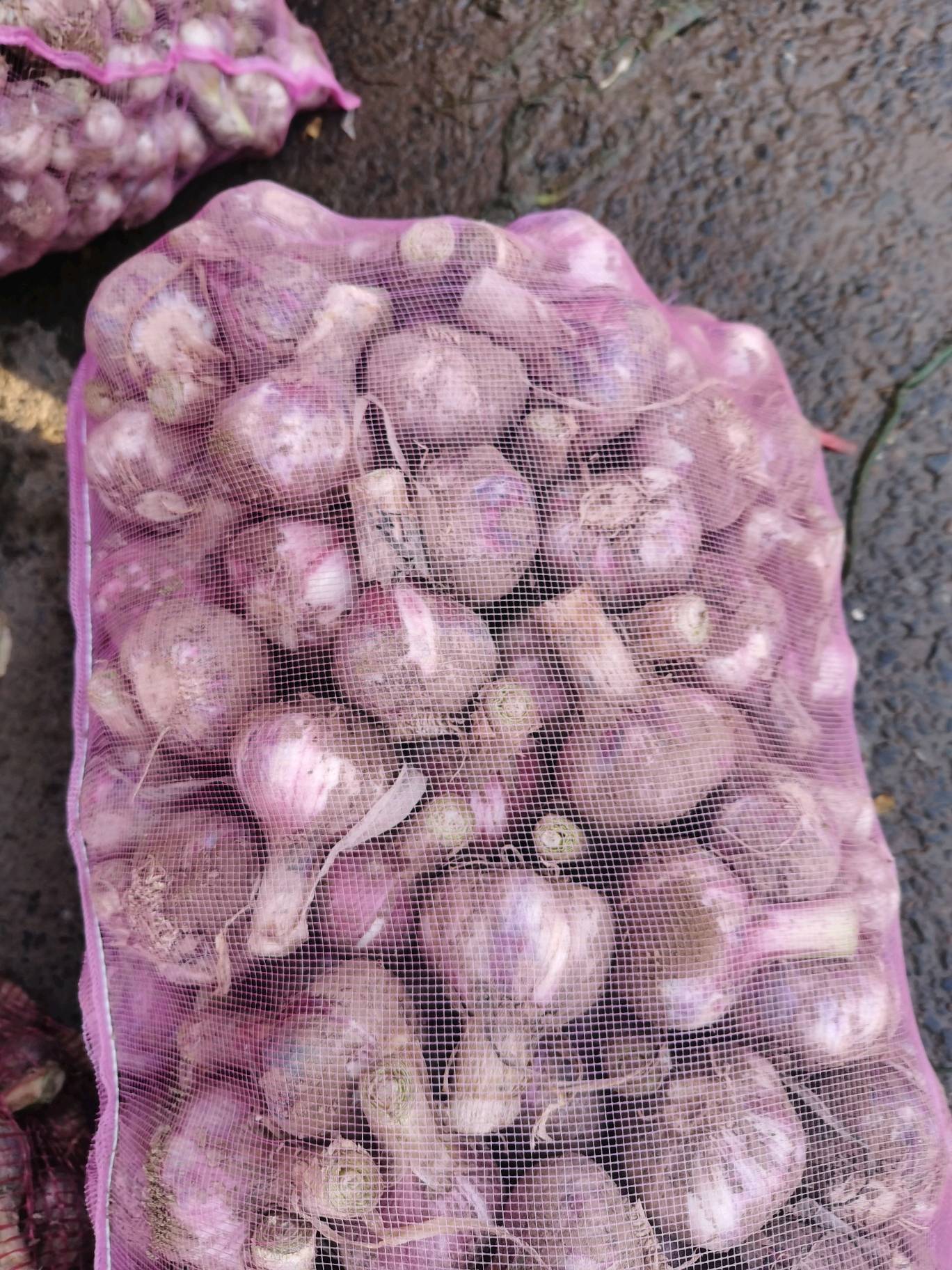 中牟优质早熟紫皮大蒜头，产地直销发往全国。18037774295