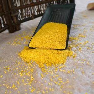 自家粮系列～黄小米、玉米糁