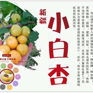 陕西省大荔县珍珠油杏有冷棚，陆地的，每年6月初开始上市，...