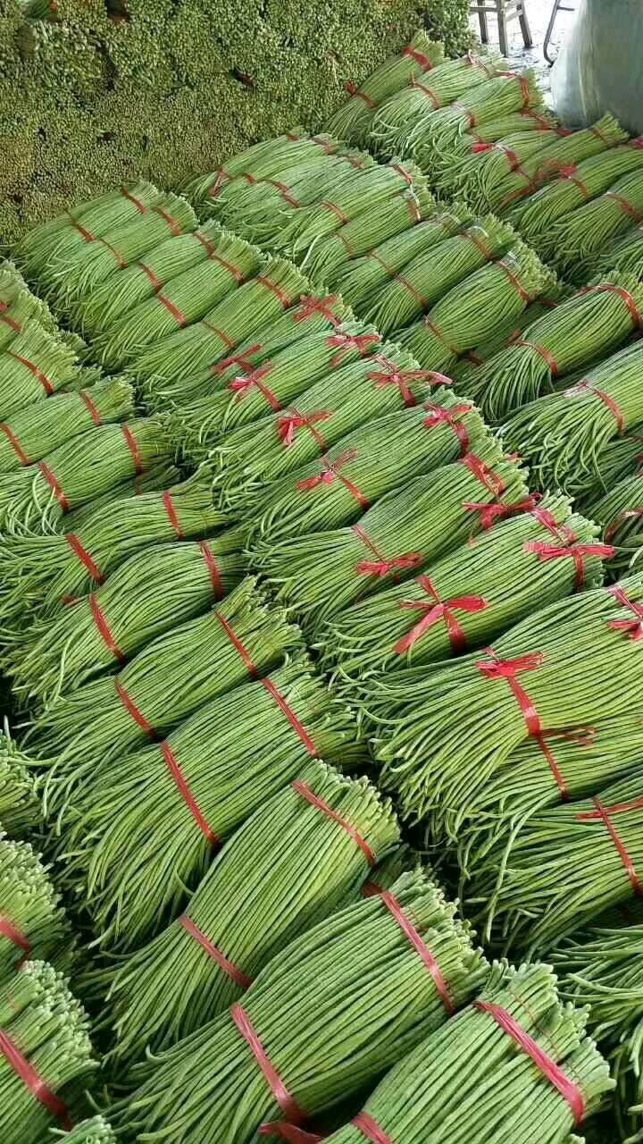 河北邯郸长豆角大量供应中，还有各种蔬菜大量供应，有需要的...