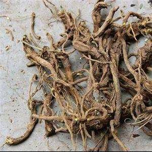 山东沂蒙山脉家种黄芩，虽说种植，但都是天然生长，没有使用...