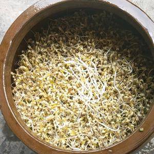 古法传统工艺，坛子井水豆芽，零添加，绿色食品。