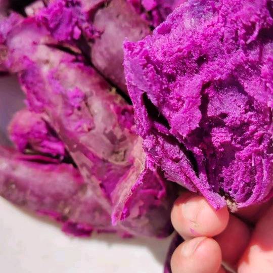 紫薯紫罗兰，纯沙土岭地，无丝无筋，香甜软糯