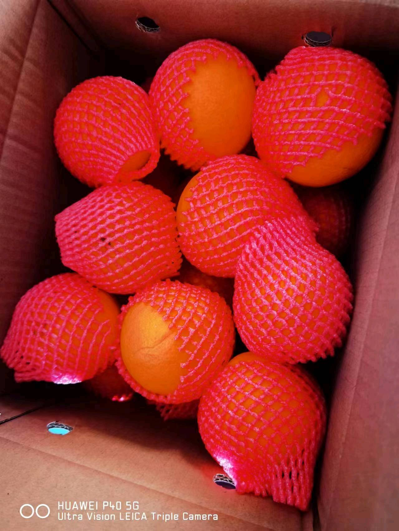 现有20万斤中华红橙代售，一万斤起售。常年代办，其他时节也帮忙收橙子，有需要可以联系本人，微信同号18671712128