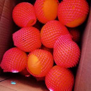 现有20万斤中华红橙代售，一万斤起售。常年代办，其他时节...