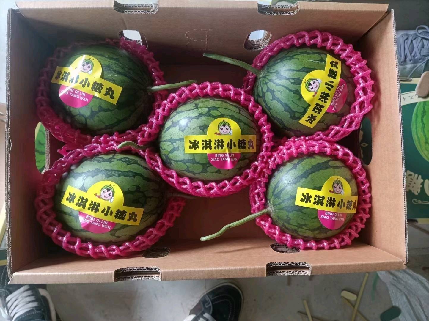 聊城博洋甜瓜大量上市。现在物流能发的市场有:广州全...