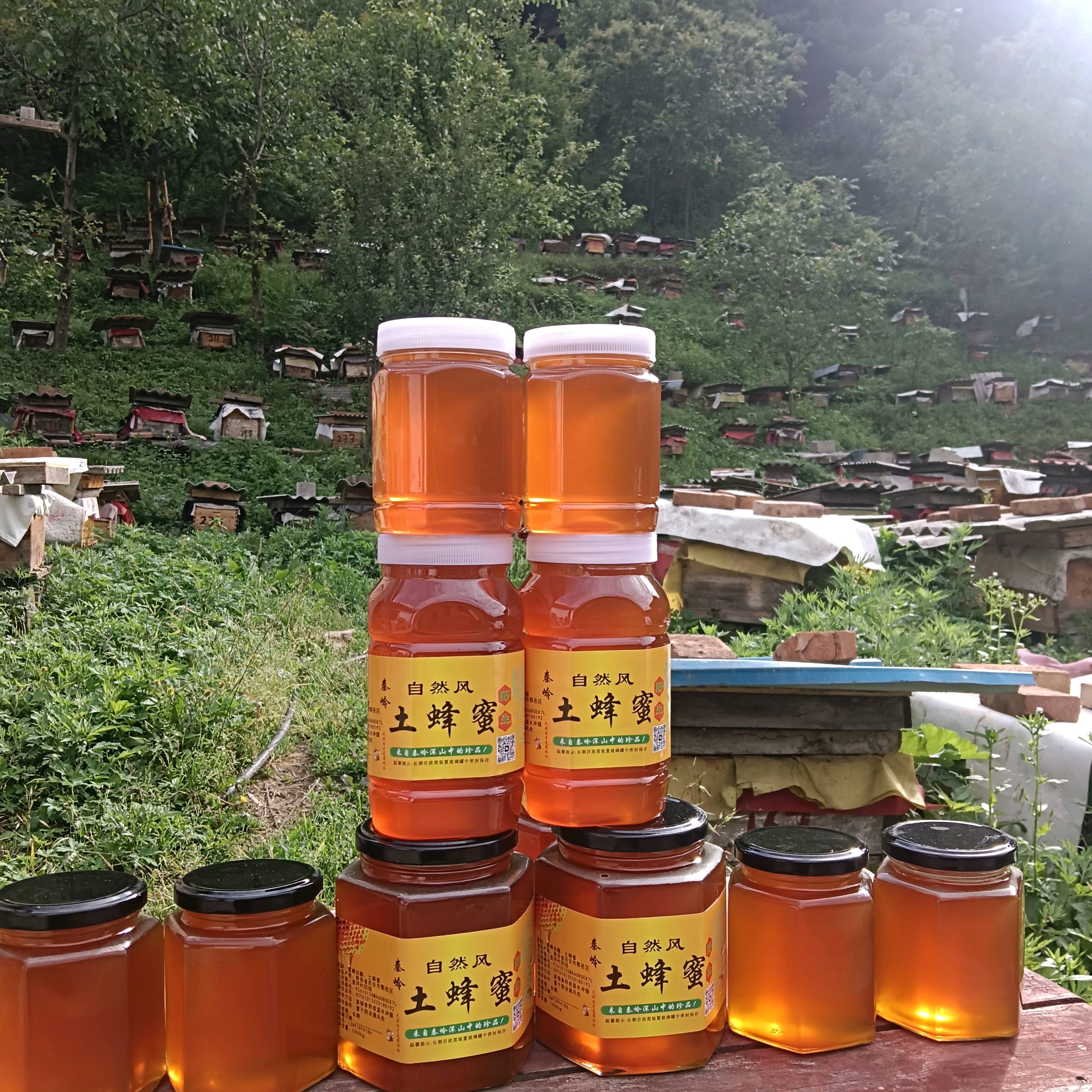 自已养的土蜂蜂蜜，纯天然秦岭土蜂蜜，假一赔十。长期合作，...