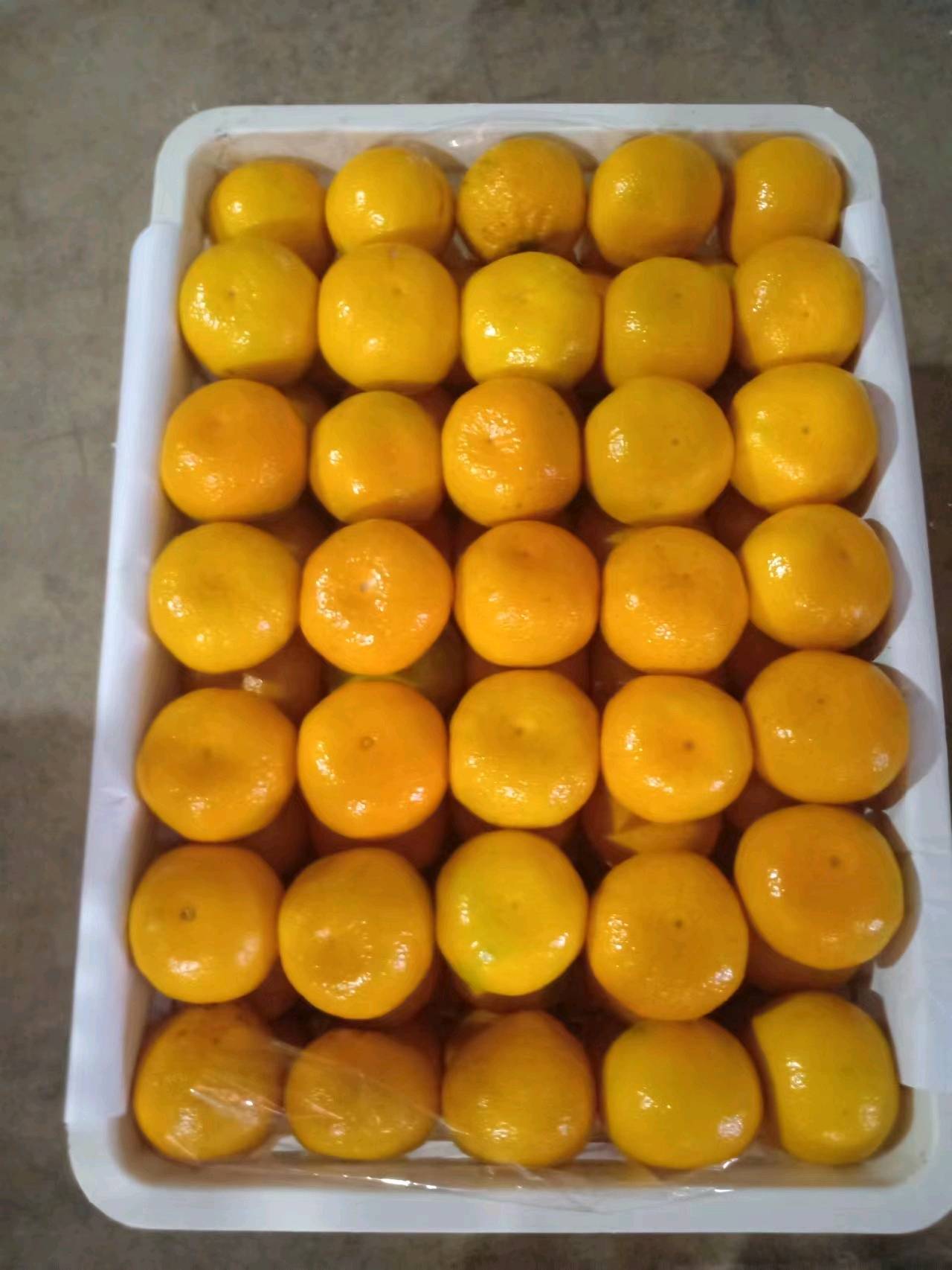 湖北特早蜜桔柚子爱媛果冻橙品种多个大皮薄肉厚囗感甜欢迎新老客户前来采购