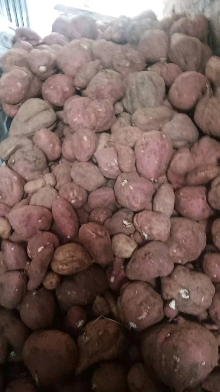 湖南邵阳板栗红薯，自己家种的，要的老板滴滴