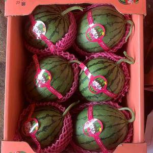 冰麒麟小糖丸，全美2K，早春红玉西瓜大量上市，提供各种包装