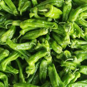 兰陵县大棚辣椒，量大质优，价格低廉，全国发货，欢迎采购